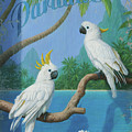 South Seas
