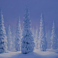 Wonderland